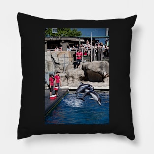 Canada. Vancouver, BC. Aquarium. Dolphin show. Pillow