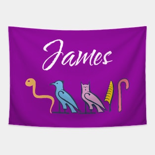 JAMES-American names in hieroglyphic letters-James, name in a Pharaonic Khartouch-Hieroglyphic pharaonic names Tapestry