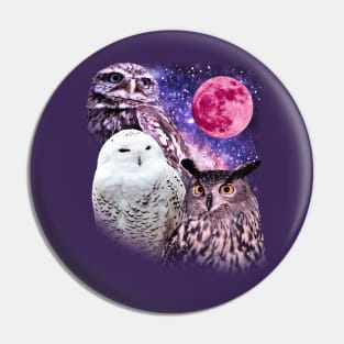 Three Owl Moon Pin