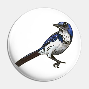 California Scrub Jay Pin