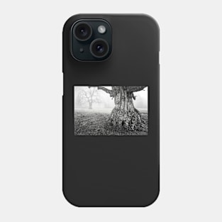 Old Oak Tree Trunk In Fog Phone Case