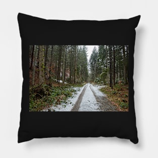 Road through the forest Pillow