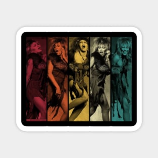 Retro Tina Turner Magnet