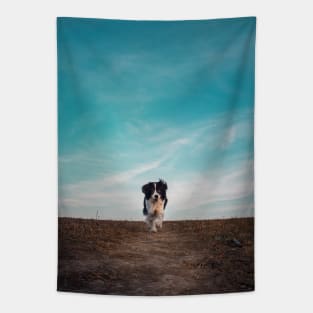 walking a desolate field Tapestry