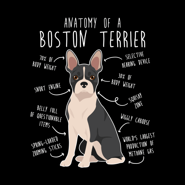 Boston Terrier Dog Anatomy by Psitta