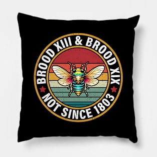 Cicada Tour 2024 Pillow