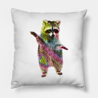 Rainbow Raccoon 4 Pillow