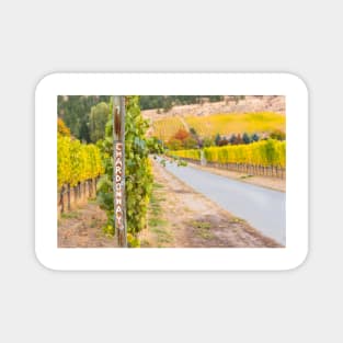 Chardonnay Sign in Autumn Vineyard Magnet