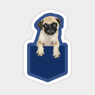 Pug in a pocket Magnet