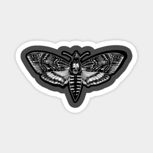 Deaths Head Moth Magnet