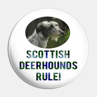 Scottish Deerhounds Rule! Pin