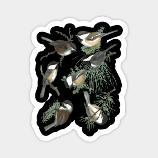 Chickadee Magnet