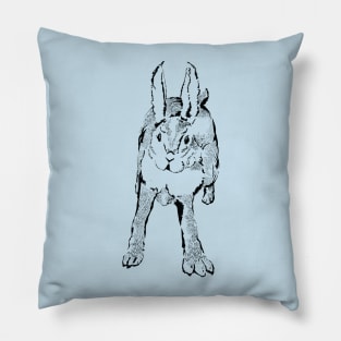 Hopping Rabbit Pillow