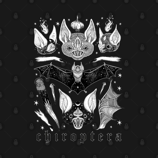 Chiroptera by lOll3