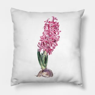 Hyacinth Pillow