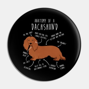 Red Longhaired Dachshund Dog Anatomy Pin