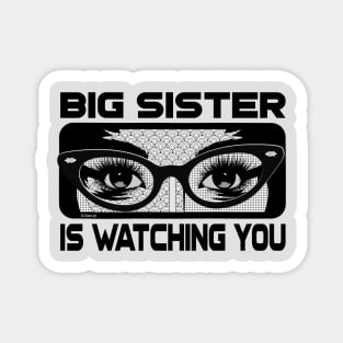 Big Sister is Watching You Comic Art Orwellian (vers 2) Magnet