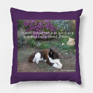 Tuxedo Cat A Well Timed Rest Is As Good as a Hundred Badly Timed Actions - Inspirational Quotes Pillow