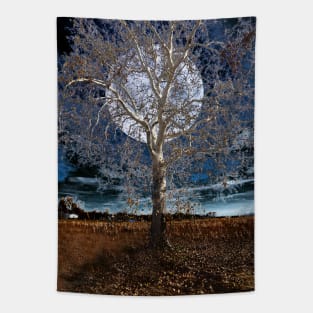 Sycamore Tree Under a Blue Moon Tapestry