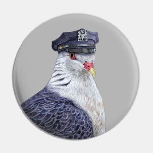 White-headed pigeon Pin