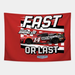 Chase Briscoe Fast Or Last Tapestry