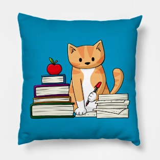 Teacher Cat Pillow