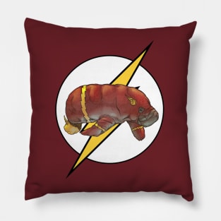 Flash Pillow