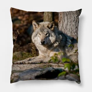 Timber Wolf Pillow