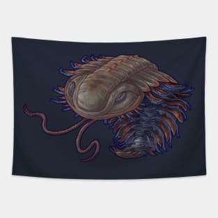 Triarthus eatoni (trilobite) Tapestry