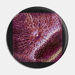 Diatom - Ditylum (internal, purple) Pin