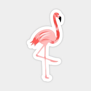 Pink Beautiful Flamingo Bird Illustration Magnet