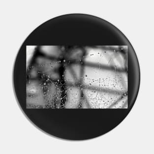 Black & White Photograph Dew Art Spider Web Spooky Halloween Photography Abstract Pin