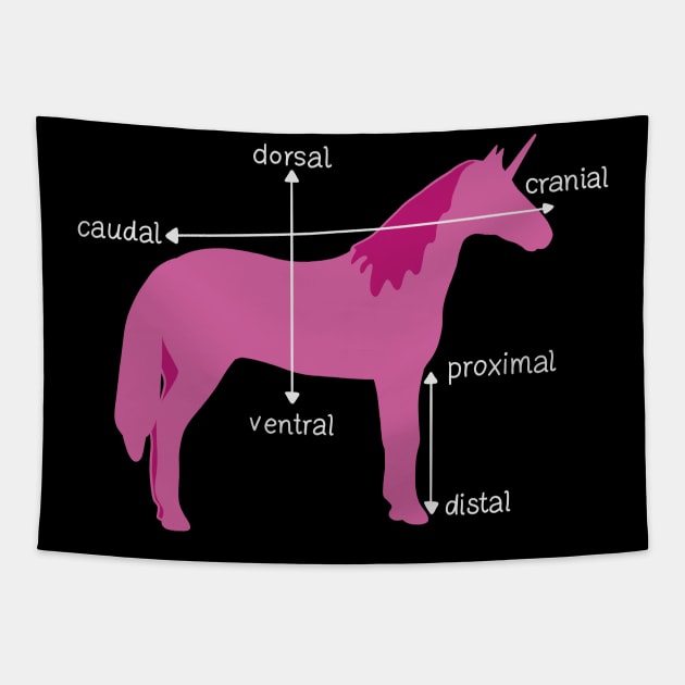 Medical Dimensions Explained On A Unicorn Tapestry by isstgeschichte