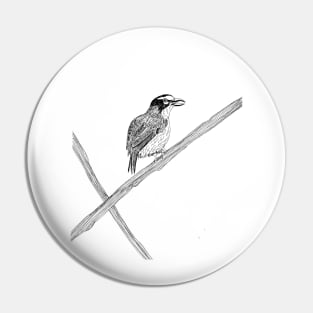 Slaty Capped bird illustration Pin