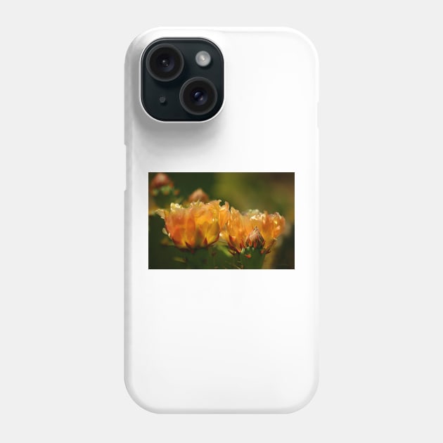 Warm Glow of Spring ~ Pancho Villa State Park, Columbus, NM Phone Case by VKPelham