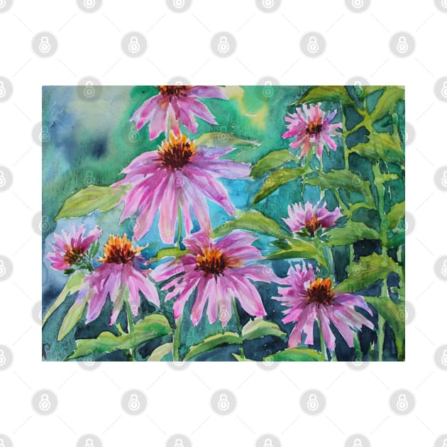 Echinacea Watercolor Painting by SvitlanaProuty