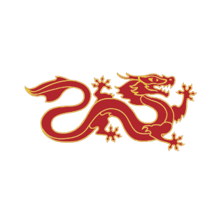 Dragon Banner. T-Shirt