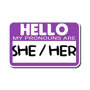 Pronouns She/ Her T-Shirt