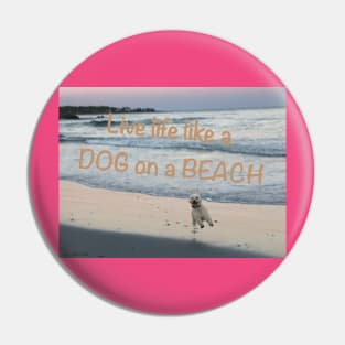 Live life like a dog on a beach Pin