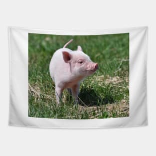 Piggy Tapestry