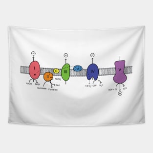 Electron Transport Chain Tapestry