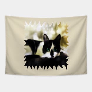 The Tuxedo with the Green Cat Eyes Tapestry