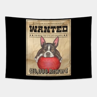 Funny Cute Boston Terrier Wanted Poster Tapestry