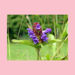 Self Heal - Prunella Vulgaris T-Shirt