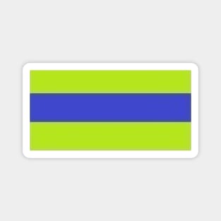 Green and Blue Flag Magnet