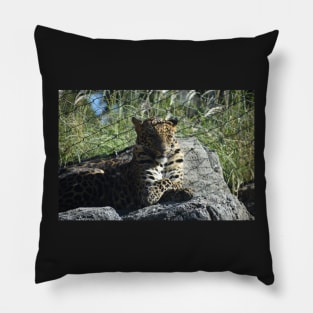 African Leopard Pillow