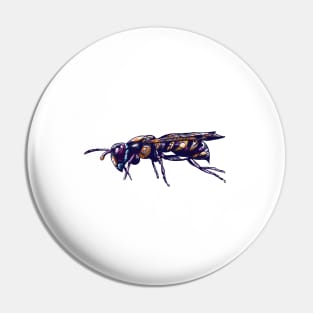 Wasp Bee Insect Illustration Pin