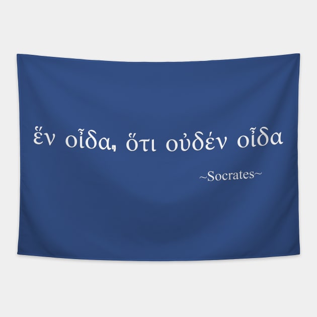 Famous Socrates Quote Tapestry by Scar