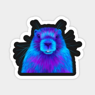 Blue Marmot Magnet