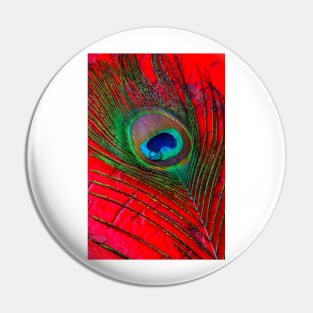 Dew Drop On Peacock Feather On red Table Pin